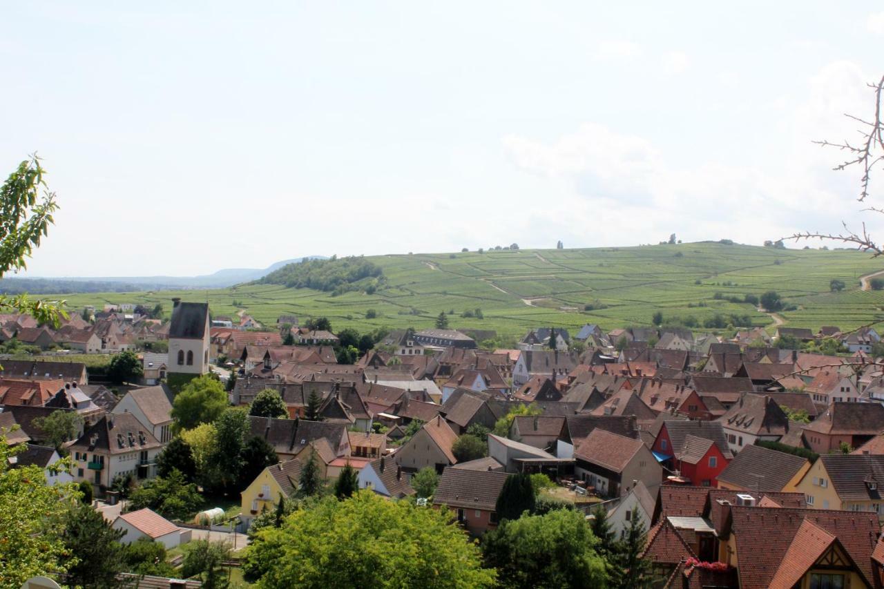 Gite Des 5 Cigognes Rouge Mittelwihr Eksteriør billede
