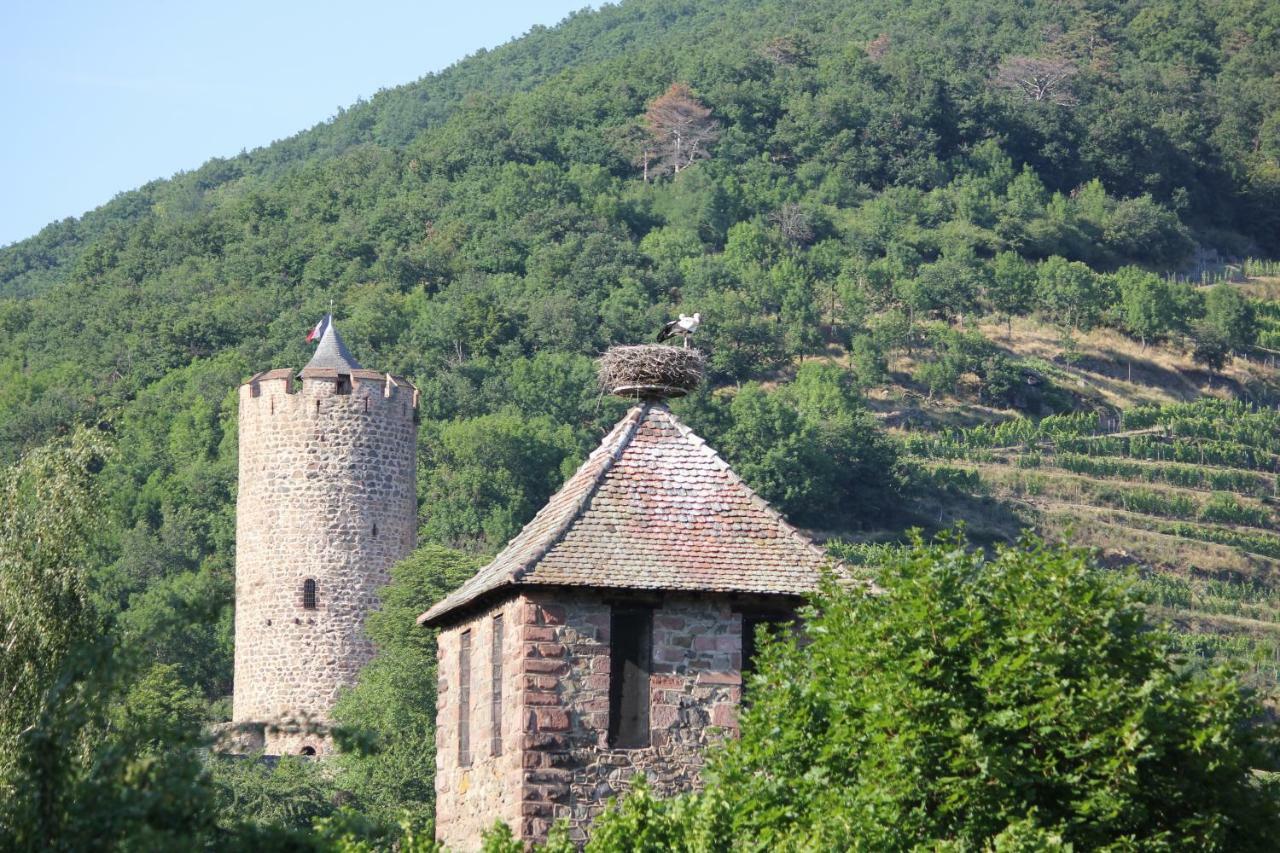 Gite Des 5 Cigognes Rouge Mittelwihr Eksteriør billede